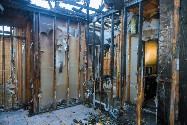 Professional Odor Removal technician working in Columbus, NJ