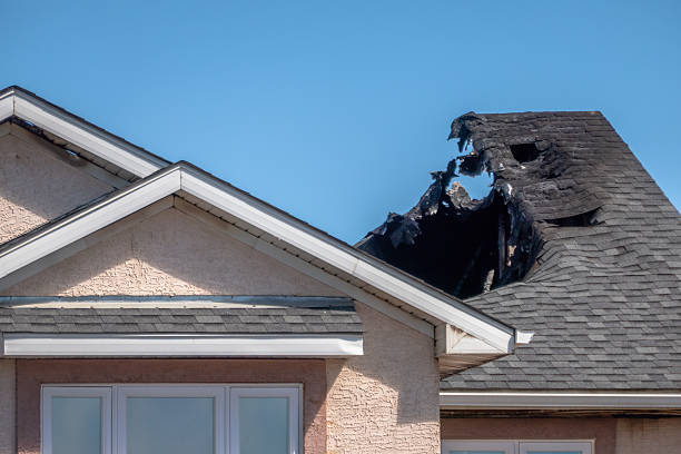 Top rated local Odor Removal specialists in Columbus, NJ